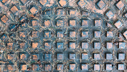 Metal geometric background with little dry leaves on his surface.