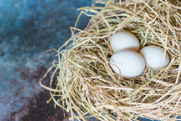 Top view of fresh organic white eggs on nest hay on dark grunge background with copy space.