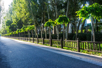 Straight asphalt roads in the countryside at dusk