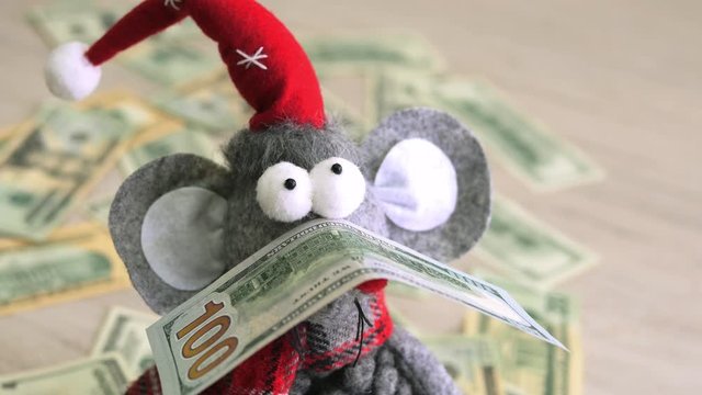 Christmas rat face with dollar bill. The money lies on the nose of a rat.