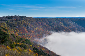 Germany, Beautiful colorful orange, red, yellow, green autumn foliage of trees covering swabian...