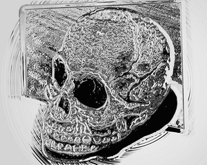 The skull of the head coming out of the image. Applied effect - chrome. Various variations.