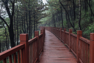 Fototapeta premium A boardwalk made of red wood in a forest