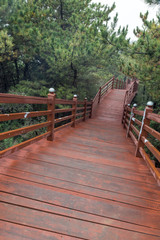 Fototapeta na wymiar A boardwalk made of red wood in a forest