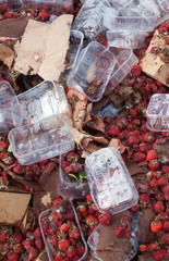 Rotten strawberries on the landfill