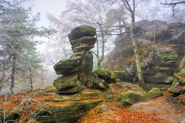 Sandsteinfelsen im Elbsandsteingebirge mit Raureif im Nebel -  Sandstone rocks in the Elbe...
