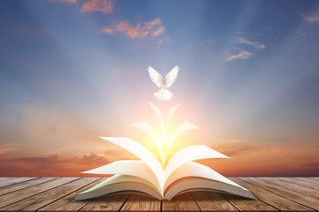 White pigeons fly out of books that are flicked by the wind in beautiful light on sunset...