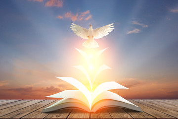 White pigeons fly out of books that are flicked by the wind in beautiful light on sunset background.freedom concept and international day of peace