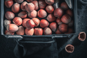 Fresh hazelnuts in a rustic metal box