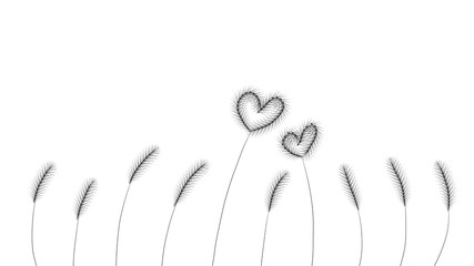 grass flower drawing of heart on white  background