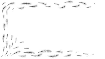  grass flower group  drawing on white  background