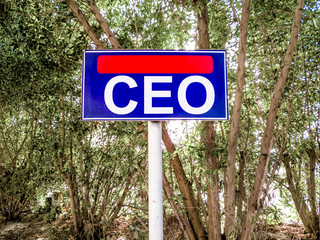 CEO the short form of Senior Executive Officer is written on a sign board with blue and red...