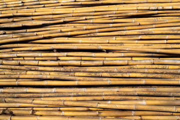 bamboo fence or wall texture background for interior or exterior design. Bamboo texture with natural patterns for wallpaper. Surface of old and dirty bamboo fence for copy space background.