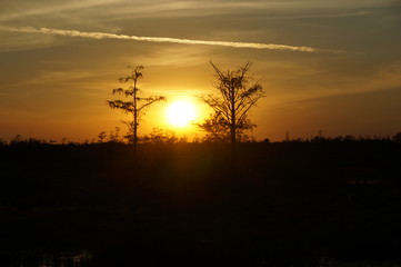 Fototapeta na wymiar sunset in the swamp