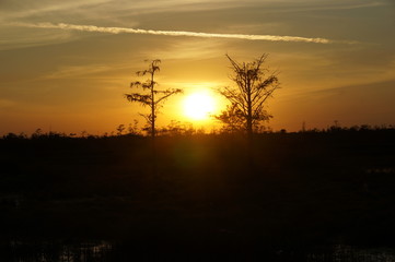 sunset in the swamp