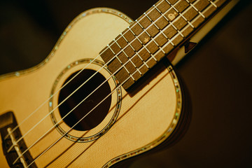 Obraz premium ukulele