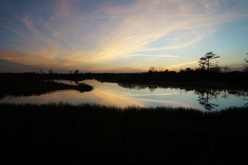 sunset in the swamp