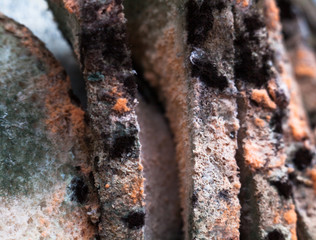 Mouldy (moldy) bread. Close-up.