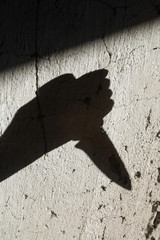 Shadow of the hand holding a knife