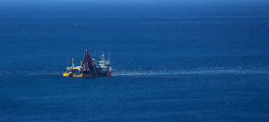 A fishing vessel with a raised net in the open sea, surrounded by a huge flock of seagulls.