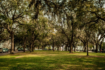 autumn in the park