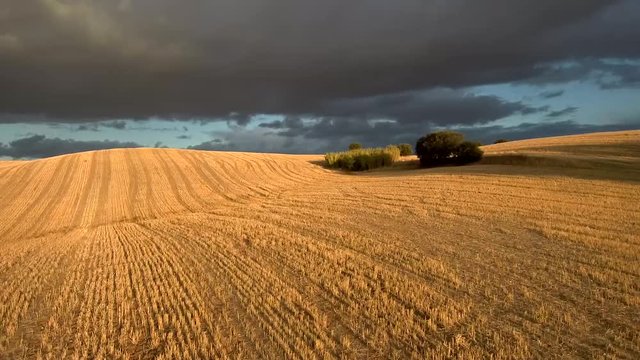 campos de trigales en toledo