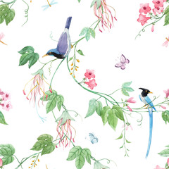 Fototapety  Akwarela kwiatowy wzór z niebieskimi rajskimi ptakami i różowymi delikatnymi kwiatami. Białe tło. Ilustracji.