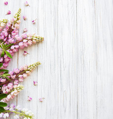 Fototapeta na wymiar Pink lupine flowers