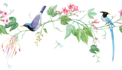 Fototapety  Akwarela kwiatowy wzór poziomy z niebieskimi ptakami rajskimi i różowymi delikatnymi kwiatami. Białe tło. Ilustracji.