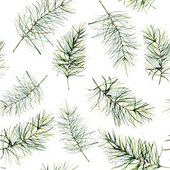 Watercolor seamless pattern with fir branches. Hand painted winter holiday plants isolated on white background. Pine needles for Christmas. Floral illustration for design, print, fabric or background.