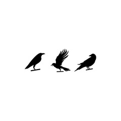 Set of flying birds sign, Dark silhouettes isolated on white.