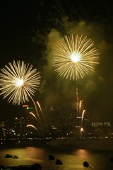 fireworks in the sky