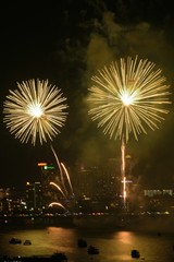 fireworks over river