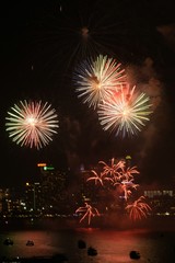 fireworks in the sky