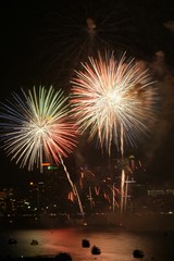 fireworks in the sky