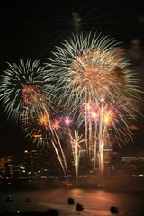 fireworks in the sky