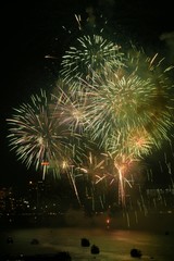 fireworks in the sky