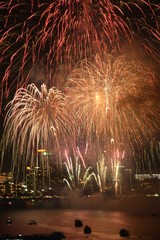 fireworks in the sky