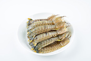Fresh pip shrimp on a plate on white background