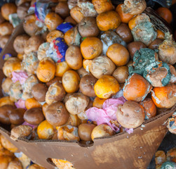 Rotten mandarin oranges on the landfill