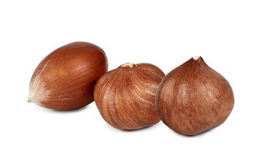 Hazelnut isolated on white background.Entire image in sharpness.