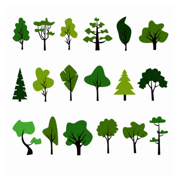 Flat forest tree icon. Pine, spruce, oak, birch, trunk, aspen, alder, poplar, chestnut, palm apple tree Vector illustration. Flat forest tree nature plant isolated eco foliage.