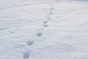 Village winter in the evening light. Snow with traces.