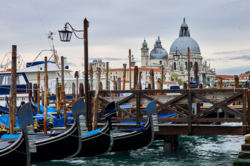 gondolas anchored at pier of San Marco square