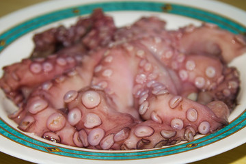 seafood, fresh octopus on the plate