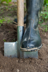 Foot in rubber boot on the metal spade