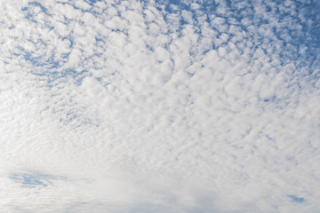 Morning blue sky with cirrus clouds. Summertime.