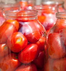 Pickling (canning) the tomatoes.