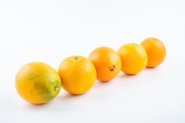 Row of fresh Gannan navel oranges on white background