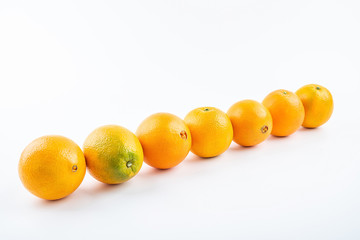 Row of fresh Gannan navel oranges on white background